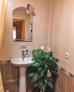 baño con lavabo, espejo y planta en Вершина Карпат en Krasnik