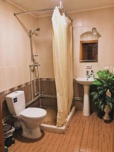 a bathroom with a toilet and a shower and a sink at Вершина Карпат in Krasnik