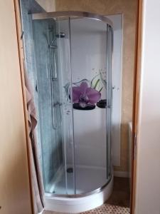 d'une douche avec une porte en verre et une fleur violette. dans l'établissement Schöne Wohnung im Herzen von Burgstädt, à Burgstaedt
