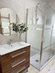 a bathroom with a sink and a shower with a mirror at Zoronga home in Las Navas del Marqués