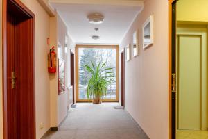 a hallway with a potted plant and a window at Hotel Przystań WARMIA in Olsztyn