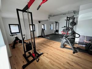 Spordikeskus ja/või sportimisvõimalused majutusasutuses Neues Traunsee Apartment Altmünster +13 fotot