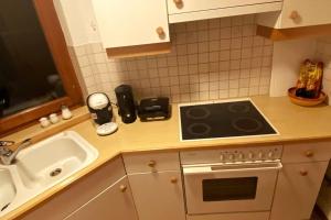 A kitchen or kitchenette at Panorama Wohnung Rungelin Bludenz
