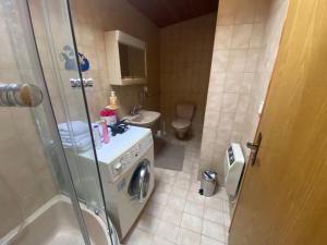A bathroom at Panorama Wohnung Rungelin Bludenz