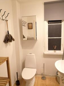 La salle de bains est pourvue de toilettes blanches et d'un lavabo. dans l'établissement Mysig stuga med öppen spis och uteplats, à Fröseke