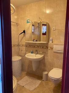 Koupelna v ubytování Apartman Pirol - Pure Enjoyment & Relaxation