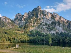 Příroda nedaleko apartmánu