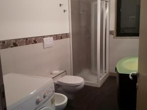 La salle de bains est pourvue de toilettes, d'une douche et d'un lavabo. dans l'établissement Lake View Terrace, à Paratico