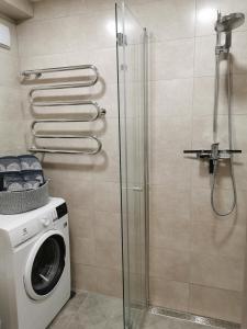 bagno con lavatrice e doccia di Adelės apartamentai a Druskininkai