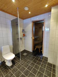 a bathroom with a toilet and a shower at Panorama Blue Apartments in Kilpisjärvi