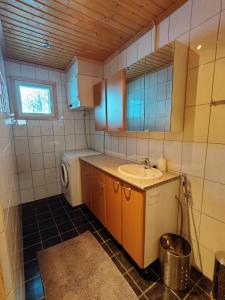 Un pequeño baño con lavabo y lavadora. en Panorama Blue Apartments, en Kilpisjärvi