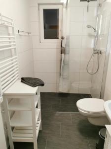 a white bathroom with a shower and a toilet at Moorhexe 2 in Gelbensande