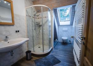 uma casa de banho com um chuveiro e um lavatório. em Das Gästehaus im Rittergut Keulrod em Bischofrod