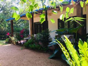 Zahrada ubytování Gimansa Rest Sigiriya