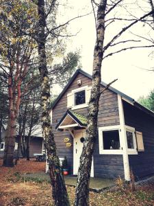 a gray house with a window and two trees at Domki Między Drzewami in Bartoszylas