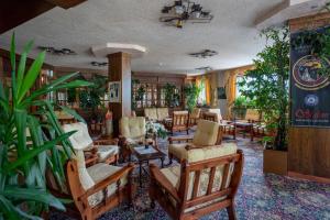 a living room with chairs and tables and plants at Hotel Europa in San Martino di Castrozza