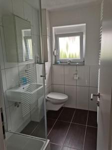 een badkamer met een toilet, een wastafel en een raam bij Ferienwohnung Im Drosselnest in Hechingen