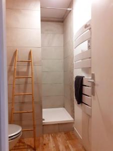 uma casa de banho com um chuveiro, um WC e uma escada. em Tourny - Studio cosy Centre médiéval Sarlat em Sarlat-la-Canéda