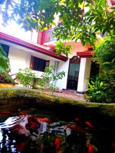 a house with a koi pond in front of a building at Isurindi Villa in Midigama East