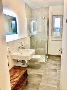 een badkamer met een toilet, een wastafel en een douche bij Hostel Hof Kranichstein in Kluis