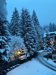 a group of snow covered trees next to a road at Montana Residence in Poiana Brasov
