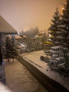 een sneeuwbedekte tuin met een kerstboom en een huis bij Montana Residence in Poiana Brasov