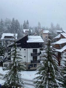 ein schneebedecktes Gebäude mit Bäumen davor in der Unterkunft Montana Residence in Poiana Brașov