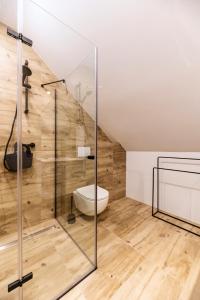 a bathroom with a glass shower and a toilet at Apt FIONA1 Centrum700m Prywatny Parking Bezpłatny in Karpacz