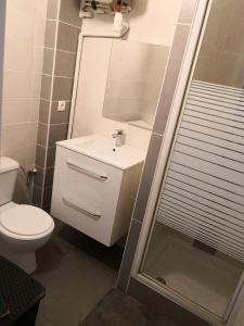 y baño con aseo, lavabo y ducha. en Le Cosy Studio Logement entier [Parking Gratuit], en Algrange