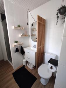ein Badezimmer mit einem WC, einem Waschbecken und einem Spiegel in der Unterkunft Le coin des Sables in Les Sables-dʼOlonne