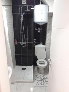 ein kleines Bad mit einem WC und einer Dusche in der Unterkunft Stan na dan Simikic in Bijeljina