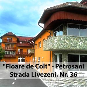 ein Gebäude mit den Worten flacco de cottacion stradalez istg istg in der Unterkunft Floare de Colt Petrosani in Petroşani
