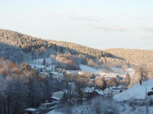 布賴騰布倫的住宿－Sonnenblick Rittersgrün I，山上雪中的小镇