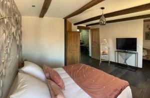 TV a/nebo společenská místnost v ubytování La Chambre Enchantée