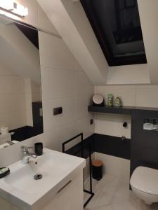 Kúpeľňa v ubytovaní Apartament Jodłowy + 37 fotografií
