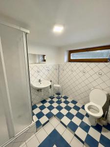 Apartmán Klaudia في روجومبيروك: حمام مع مرحاض ومغسلة