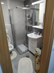 um banheiro com chuveiro, vaso sanitário e pia em Zlatiborske Noći em Zlatibor mais 28 fotografias