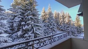 冬天的Ema apartman - Zlatar