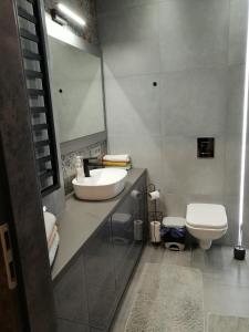uma casa de banho com um lavatório e um WC em Apartament w Centrum em Szczecin