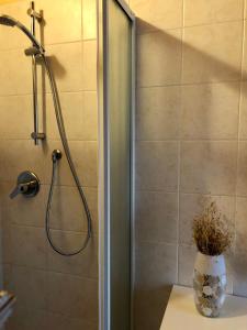 a shower in a bathroom with a vase on a counter at Casa Giulia - Tramonto - Valeggio sul Mincio in Valeggio sul Mincio