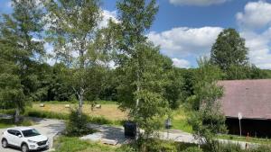 Příroda nedaleko apartmánu