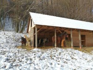 Matiaška的住宿－Oddychový pobyt na rodinnej farme，三匹马站在谷仓外的雪地里