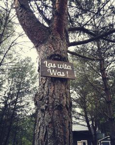 Naturlandschaft in der Nähe der Lodge