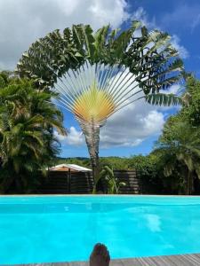 Bazén v ubytování Fleur des Caraïbes nebo v jeho okolí