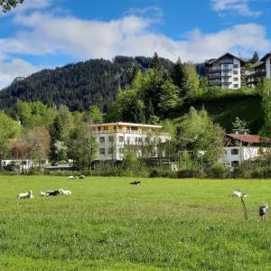Príroda v okolí apartmánu