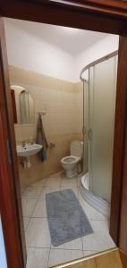 a bathroom with a toilet and a sink at Noclegi Tyczyn in Tyczyn +1 photo