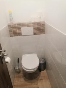 a bathroom with a white toilet in a room at Penzion Ivana in Valašské Meziříčí