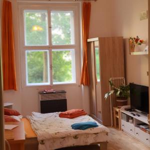 a room with a bed and a large window at Get Prague Flat Slovenska in Prague