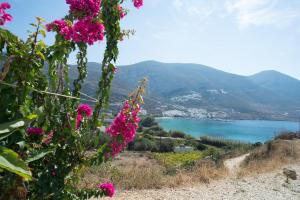 a view of a body of water with pink flowers at Amorgi Studios in Aegiali