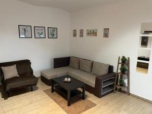 ein Wohnzimmer mit einem Sofa und einem Stuhl in der Unterkunft Árvíz Apartman in Szeged